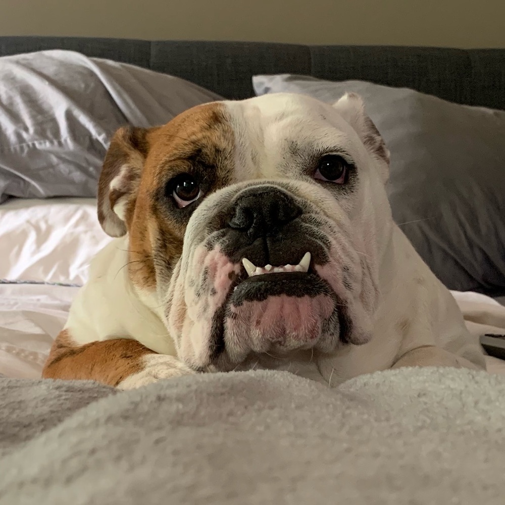 Meet your Posher, Julie